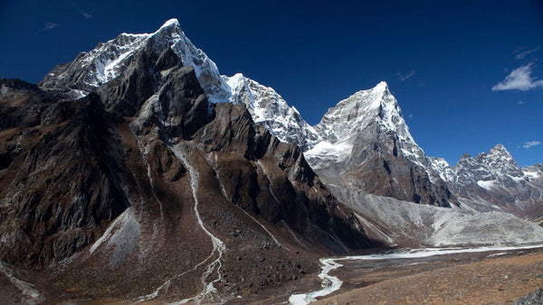 Les 10 Bienfaits du Shilajit : Le Trésor de l'Himalaya pour Votre Santé